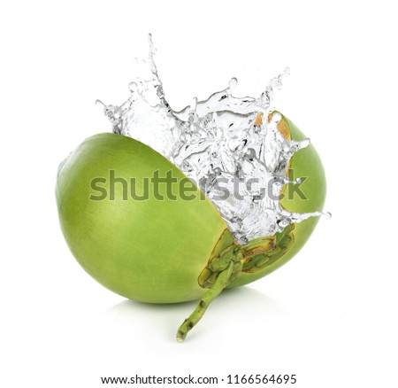 Green coconut with water splash isolated on white background.