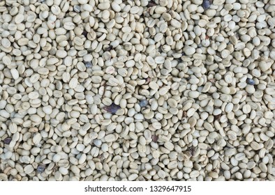 Green Coffee Bean Extract