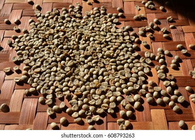 Green Coffee Bean Extract Comes From Unroasted Coffee Beans, Green Coffee Bean After Pulping Hulling Pericarp And Cleaning