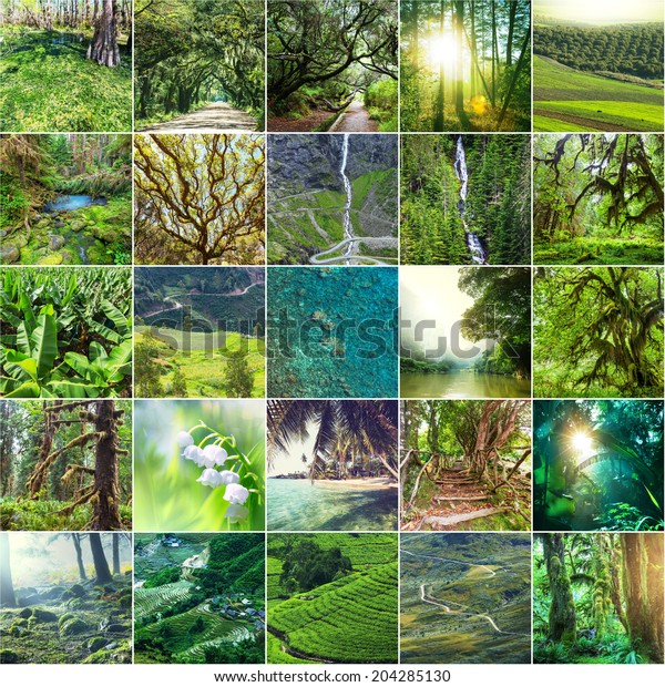 Green Collage Stock Photo (Edit Now) 204285130