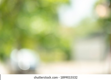 Green Color Abstract Blur Bokeh Background From Tree And Light In Natural Garden.