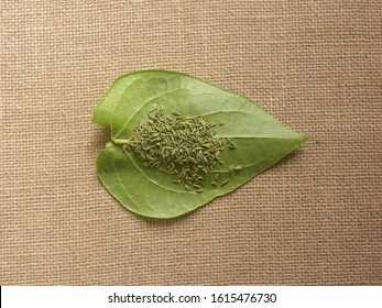 Green Color Betel Quid Or Paan With Fennel Seeds