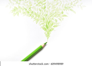 Green color pencil drawing leaf