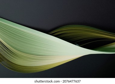 Green Color Strip Wave Paper. Abstract Texture Black Background.