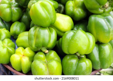 green colored capsicum stock on shop for sell