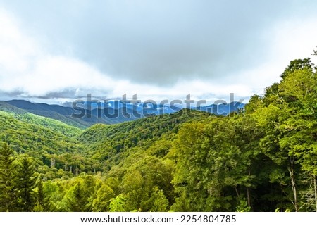 Green colors in Great Smoky Mountains National Park along the North Carolina-Tennessee border