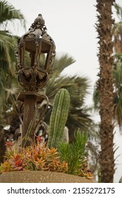 Green Composition With Cactus Plants In The Garden Vase In The City Park, Cairo Egypt. 