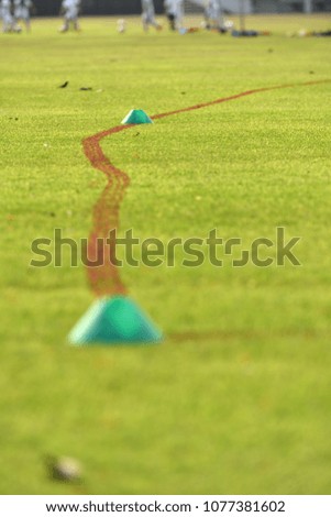 Similar – Image, Stock Photo stilt barrel Animal