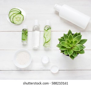 Green Cosmetics Flat Lay With Succulent Plant. Top View