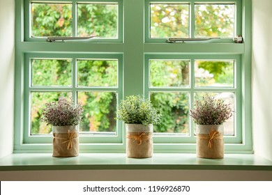 Green Cottage Window, With Plants In Pots In Front