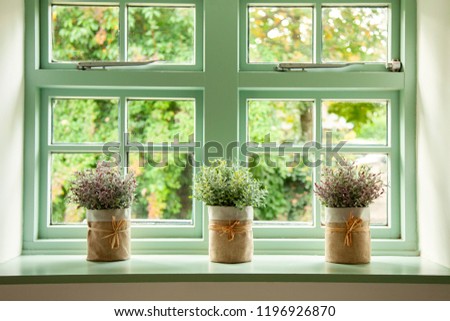 Green cottage window, with plants in pots in front