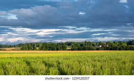Green country agricultural field under the stormy sky on a summer day, Latvia - Shutterstock ID 1259120257