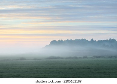 Green country field (forest meadow, lawn) in a fog at sunrise. Soft sunlight, golden hour. Idyllic rural scene. Panoramic landscape. Pure nature, ecology, environment, ecotourism