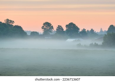 Green country field (forest meadow, lawn) in a fog at sunrise. Soft sunlight, golden hour. Idyllic rural scene. Panoramic landscape. Pure nature, ecology, environment, ecotourism