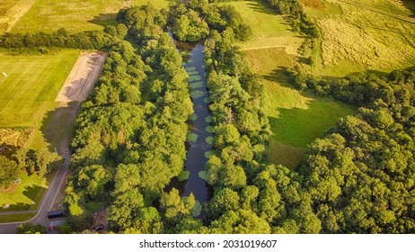 Green Countryside - British Summertime 