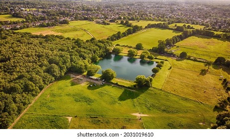 Green Countryside - British Summertime 