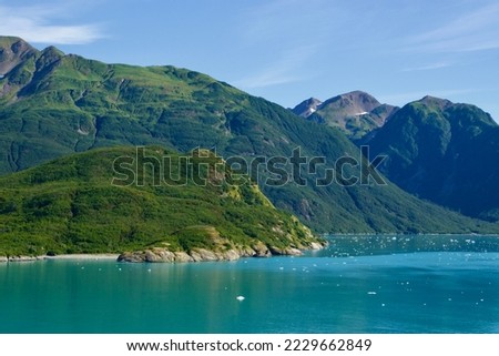 Green covered mountains at the shoreline and ice floating in the water.