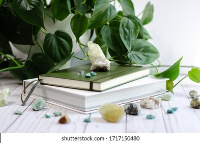 Green Crystals Pothos Journal Setup