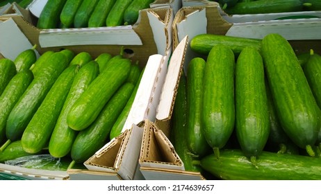 Green Cucumbers On Supermarket Shelves. Retail Industry. Local Farmers Market. Discount. Rich Harvest. Grocery Store. Healthy Products. Food Suppliers. Greenhouse. Vegetables Delivery. Inflation. Shop