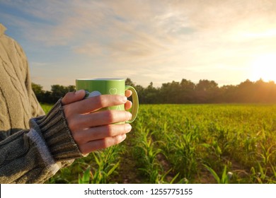 A Green Cup Of Coffee In A Farmer's Hands While She Was Working At Her Farm In The Morning Sunrise.