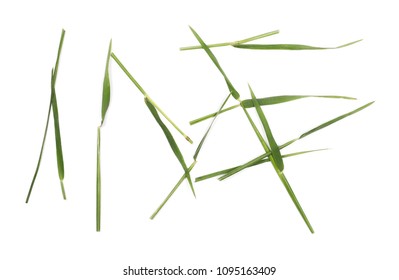 Green Cut Wild Grass Isolated On White Background And Texture, Top View