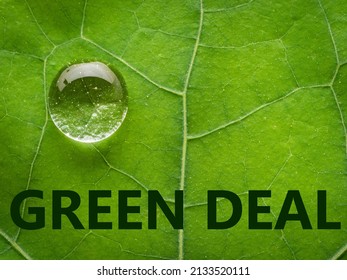 green deal - ecological concept