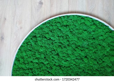 green decorative moss in a round picture on the wall