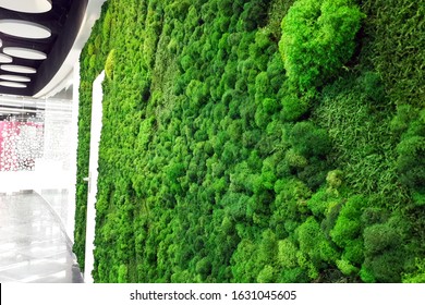 
Green Decorative Moss Wall In A Modern Interior