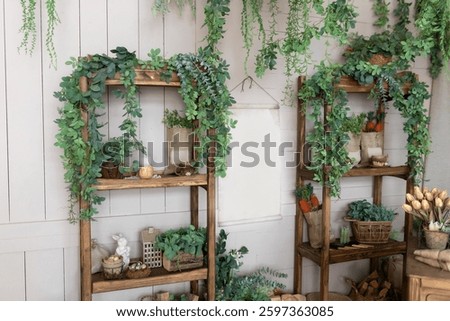 Green different plants and flowers, easter eggs, gardening tools on shelves in living room. Interior design rustic home. Cozy home in boho style. Wooden rack with decor near wall. Gardening at home