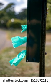 Green Dog Bag Dispenser At Park