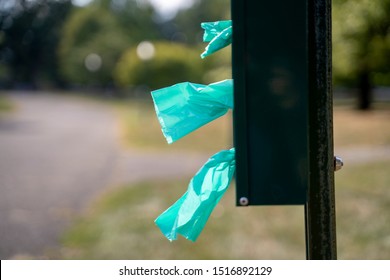 Green Dog Bag Dispenser At Park