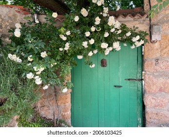 Green Door With White Roses Altering In Old Town