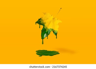 Green drops of paint flow down from flying yellow maple leaf on orange background. Minimal composition. Creative arrives autumn concept. Fall of the leaves, change of seasons concept. - Shutterstock ID 2167374245