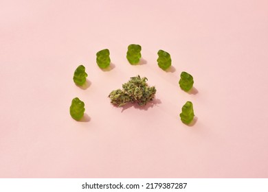 Green Dry Crushed Marijuana Bud And Sweet Yummy Teddy Bear Candies Isolated On Beige Background. Light Drug And Addiction. Herbal Medicine And Painkiller Therapy. Natural Organic Cannabis. Copy Space