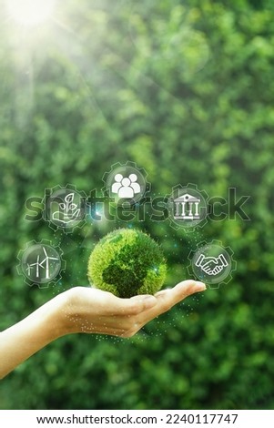 Green earth planet in hands  Net zero and carbon neutral concept in the hand for net zero greenhouse gas emissions target Climate neutral long term strategy on a green background.                     