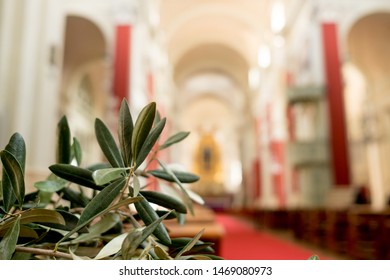 Green Easter Olive Branches Inside Catholic Church During Sunday Mass, Symbol Of Easter Celebration And Palms Sunday