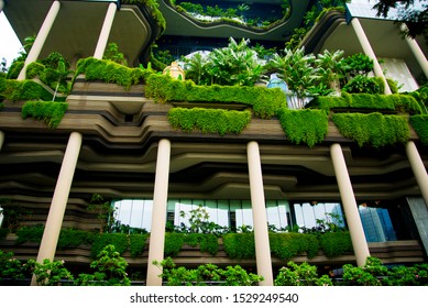 Green Eco Building In The City