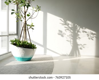 Green Eco Building Concept. Indoor Green Tree In Office Area For Clean Fresh Air