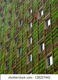 Green ecological building