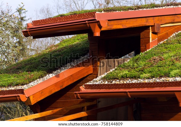 Green Ecological Sod Roof On Wooden Stock Photo Edit Now 758144809