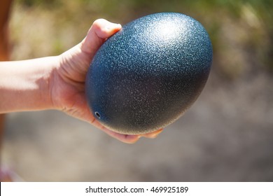 
Green Emu Egg