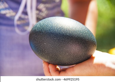 
Green Emu Egg