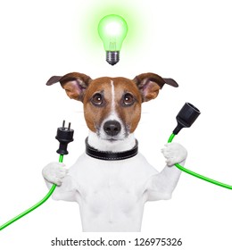 Green Energy Dog With A Cable And A Light Bulb