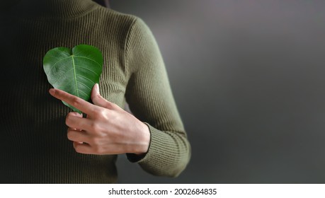 Green Energy, ESG, Renewable and Sustainable Resources. Environmental and Ecology Care Concept. Close up of Hand Holding a Heart Shape Green Leaf on Chest