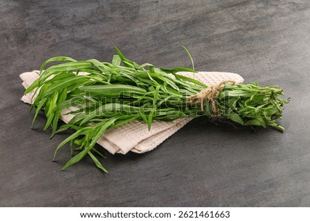 Green estragon branches for cooking or aromatherapy