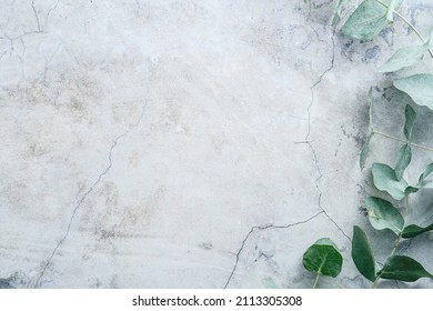 Green eucalyptus leaves on stone table. Frame made of eucalyptus branches. Flat lay, top view, copy space.