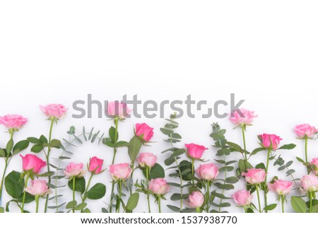 Similar – Wild clover flowers Style