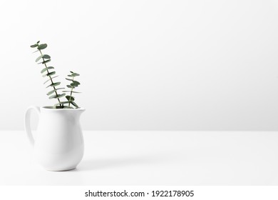 Green Eucalyptus Leaves In Vase On White Table. Front View. Place For Text, Copy Space, Mockup