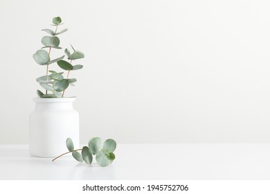 Hojas verdes de eucalipto en jarrón sobre mesa blanca. Vista frontal. Lugar de texto, espacio de copia, paro