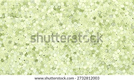 green expanded polystyrene plastic texture useful as a background